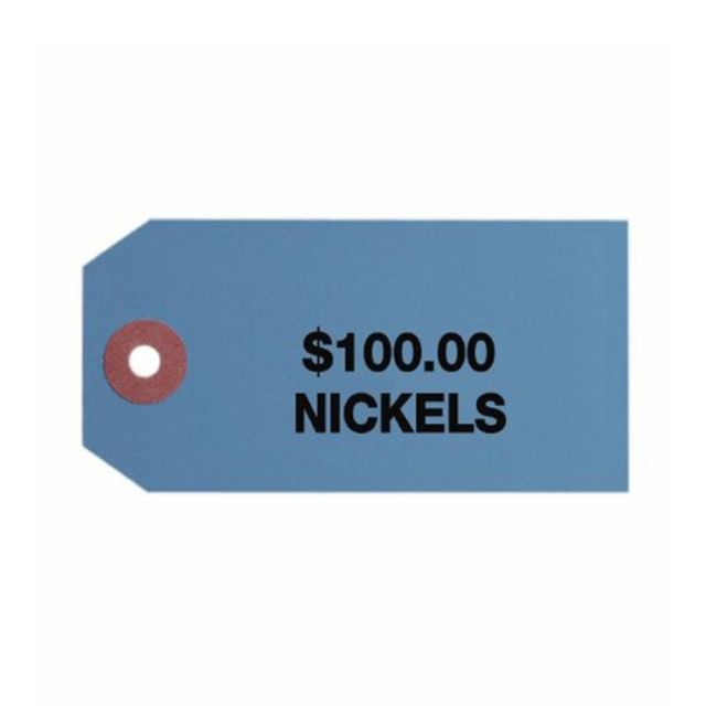 Control Group #3 Coin Bag Tags, 560080, 1-7/8in x 3-3/4in, Blue, Pack Of 1000 MPN:560080