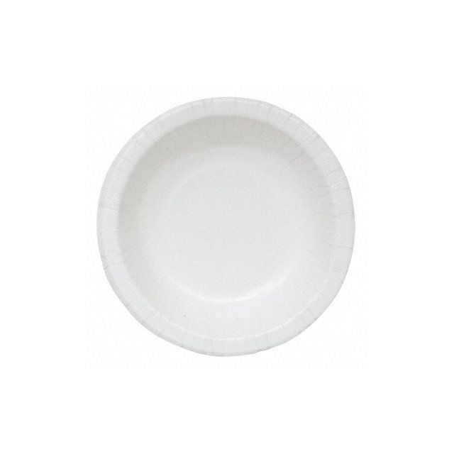 Disposable Paper Plate 10 in White PK250 MPN:22381