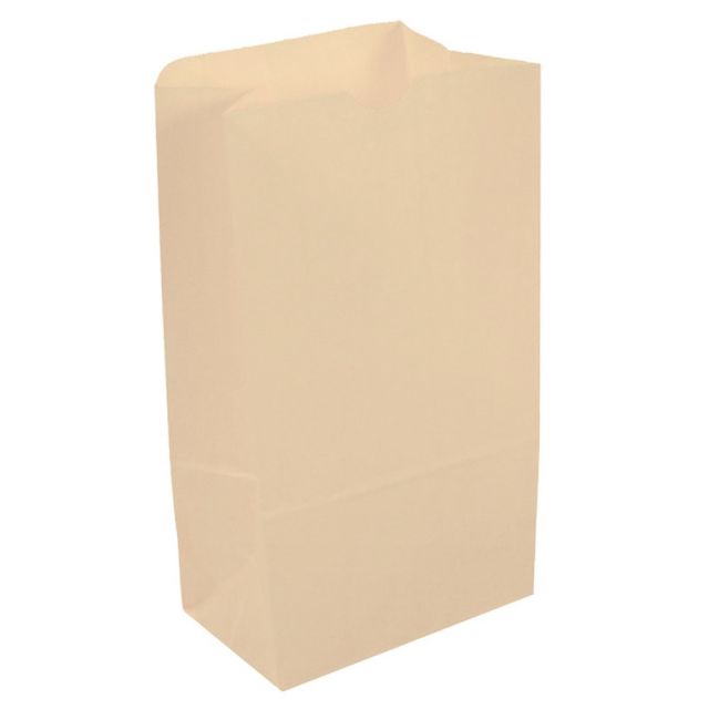 JAM Paper Kraft Lunch Bags, 11inH x 6inW x 3-3/4inD, Ivory, Box Of 500 Bags MPN:692KRIV