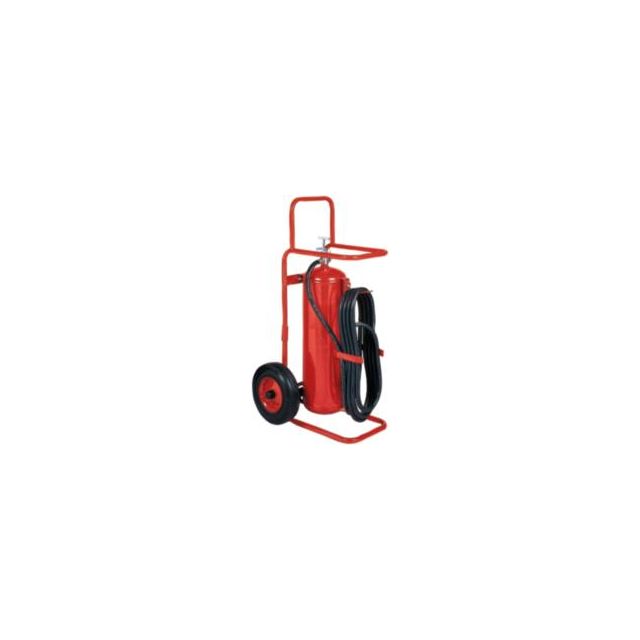 Fire Extinguisher: Dry Chemical, 28.75
