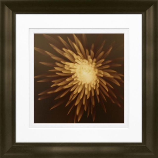 Timeless Frames Marren Espresso-Framed Floral Artwork, 8in x 8in, New Mum (Min Order Qty 4) MPN:55302