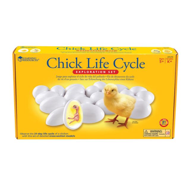 Learning Resources Chick Life Cycle Exploration Set, Grades K - 4 (Min Order Qty 2) MPN:LER2733