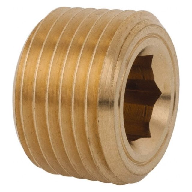 Industrial Pipe Hollow Hex Plug: 1/4