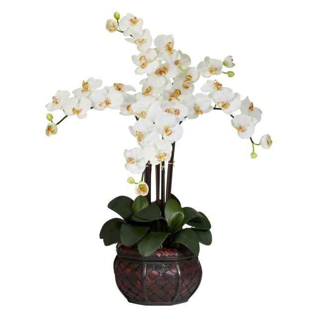 Nearly Natural 31inH Silk Phalaenopsis Arrangement With Decorative Pot, Cream MPN:1211-CR
