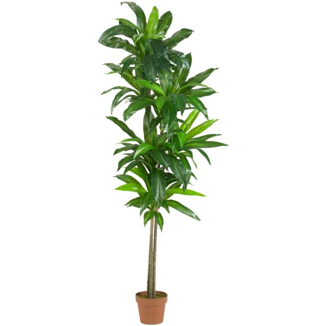 Nearly Natural 6ftH Real-Touch Silk Dracaena Plant With Pot, Green MPN:6596