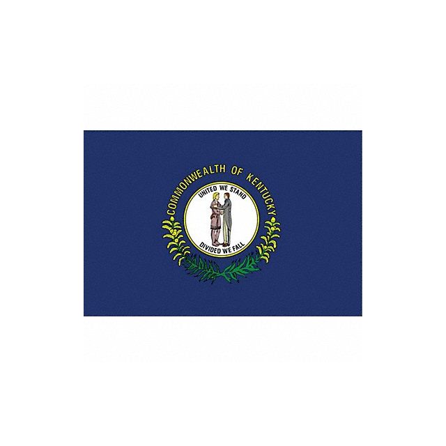 D3761 Kentucky State Flag 3x5 Ft MPN:141960