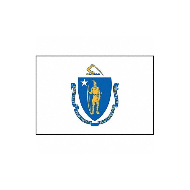 D3761 Massachusetts State Flag 3x5 Ft MPN:142460