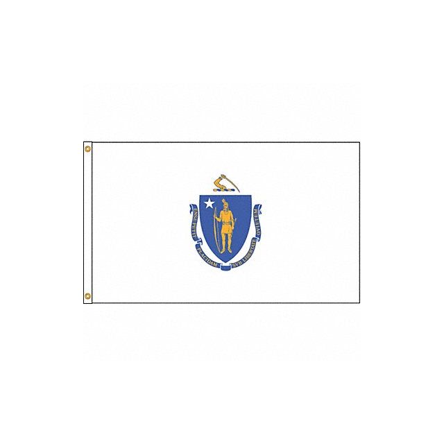 D3771 Massachusetts Flag 4x6 Ft Nylon MPN:142470