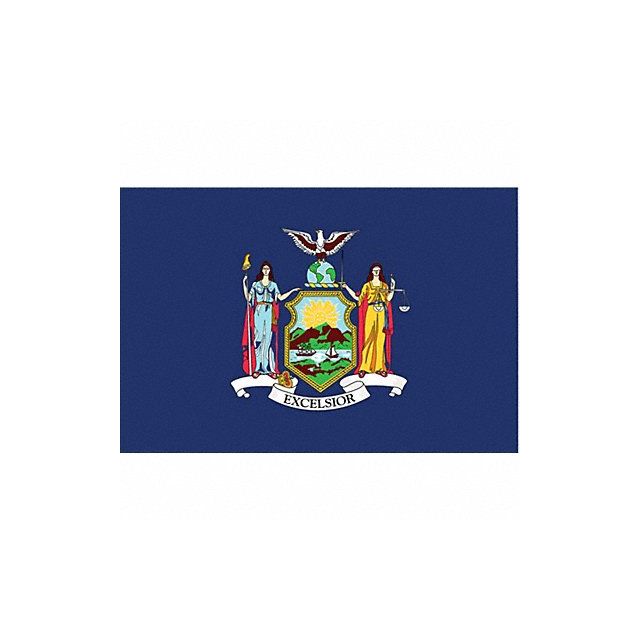 D3761 New York State Flag 3x5 Ft MPN:143860