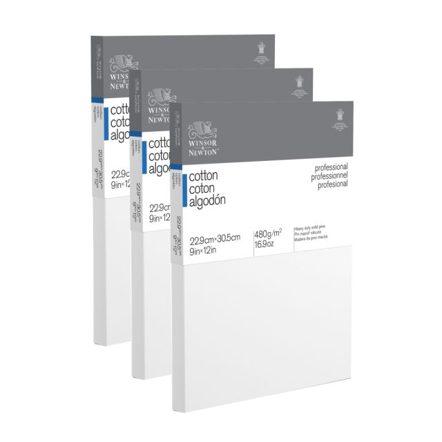 Winsor & Newton Professional Cotton-Stretched Traditional Canvases, 12in x 9in, White, Pack Of 3 MPN:3PK6203040
