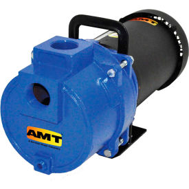 Example of GoVets Springer Pumps brand