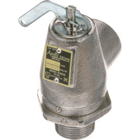 Safety Valve 3/4