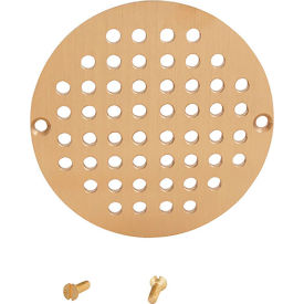 Allpoints 1021081 Drain Grate Floor (6