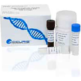 Accuris Instruments High Sensitivity DNA Quantification Kit 100 assays NS1020-HS-100