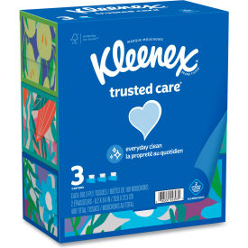 Kleenex Trusted Care Facial Tissue 2-Ply White 160 Sheets/Box 3 Boxes/Pack 12 Packs/Carton 54303