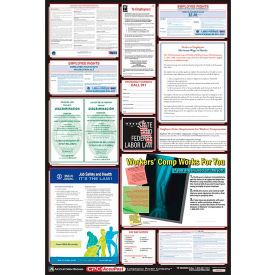 Labor Law Poster - Hawaii PPG300HI