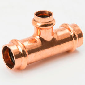 Example of GoVets Copper category