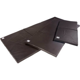 Example of GoVets Exercise Mats category