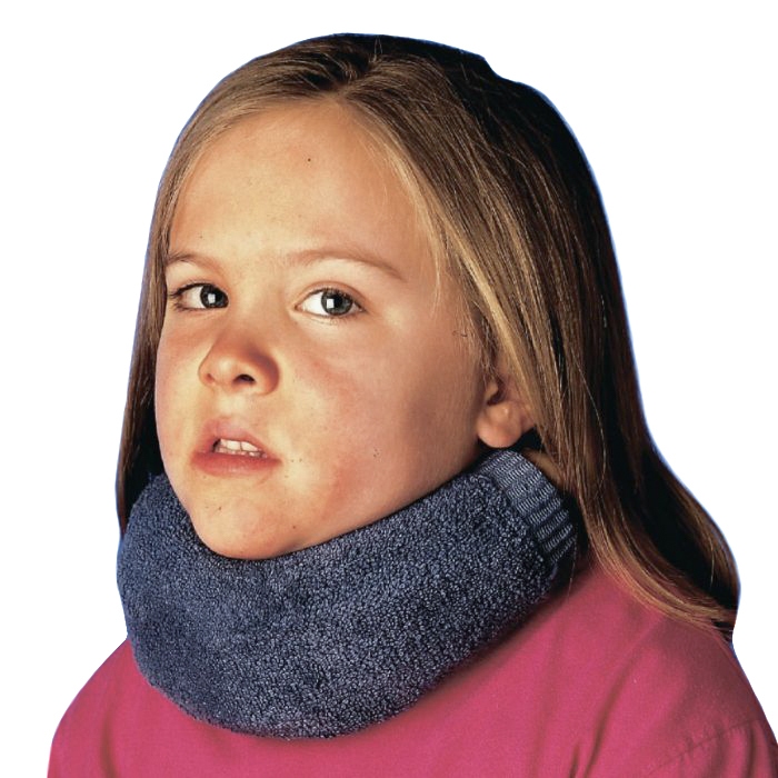 Example of GoVets Cervical Stabilize category
