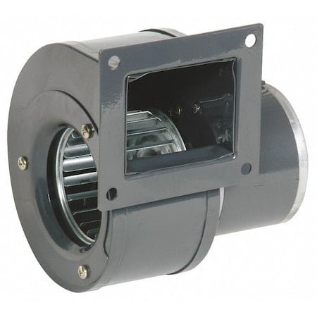 Example of GoVets Dayton category