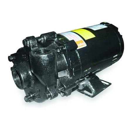 Cast Iron 1 HP Centrifugal Pump 208-230/460V MPN:2ZWP6