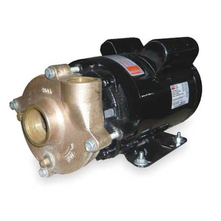 Bronze/Brass 1-1/2 HP Centrifugal Pump 115/208-230V MPN:2ZWT2