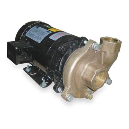 Bronze/Brass 3 HP Centrifugal Pump 208-230/460V MPN:2ZWT7