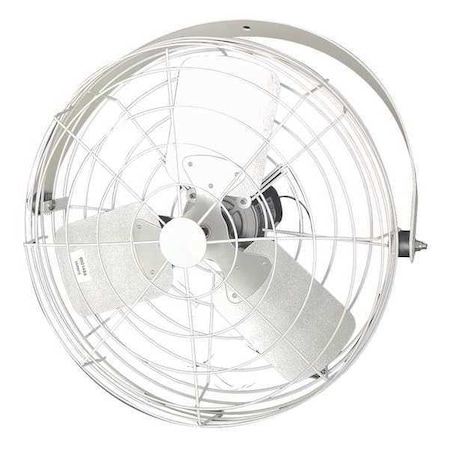 Corrosion Resistant Industrial Fan, Ceiling, IBeam, Wall Mount, 24 in Blade Dia, 115/230V MPN:24B4WV-W-G