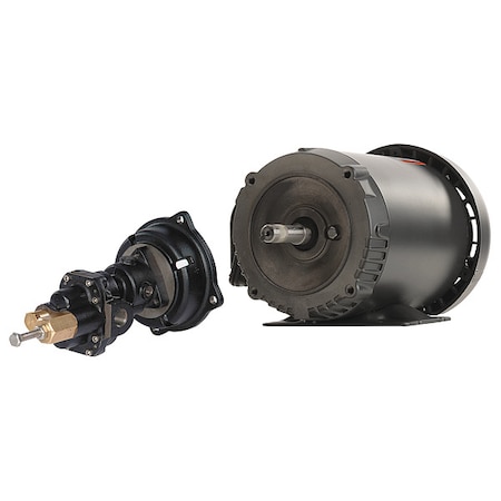 RotaryGearPump, CI, 1/4