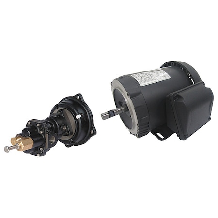 RotaryGearPump, CI, 3/8