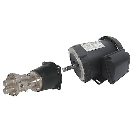 RotaryGearPmp, 316SS, 1/2