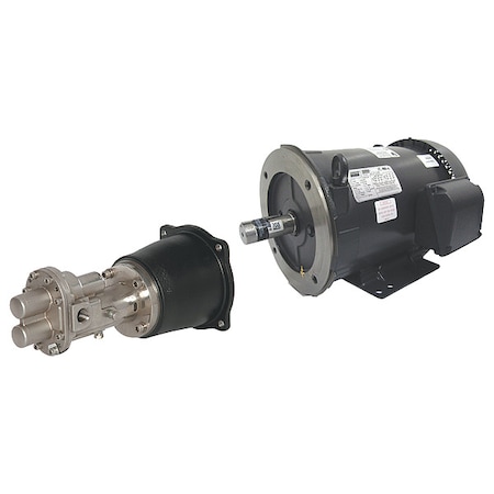 Rotary Gear Pump, CI, 1