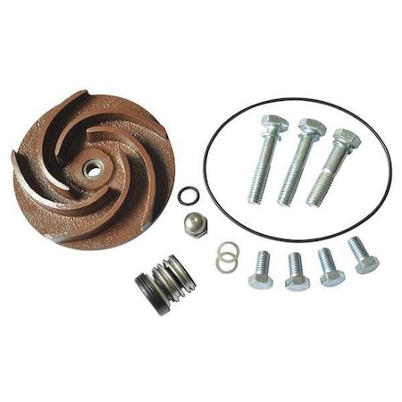 Pump Repair Kit, For 2ZWP9A, 2ZWR1A MPN:21TG45