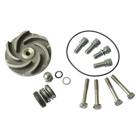 Pump Repair Kit, For 2ZWT9, 2ZWU1 MPN:21TG63