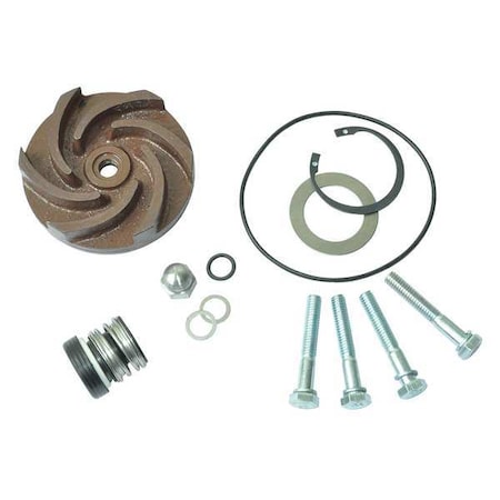 Pump Repair Kit, For 2ZWX4A MPN:21TG76