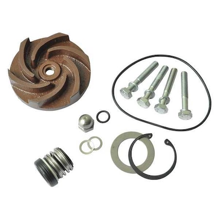 Pump Repair Kit, For 2ZWX5A MPN:21TG77