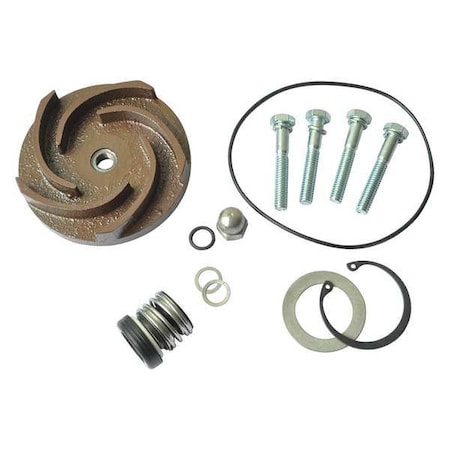 Pump Repair Kit, For 2ZWX6A MPN:21TG78