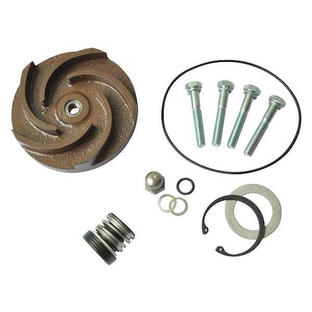 Pump Repair Kit, For 2ZWX7A MPN:21TG79