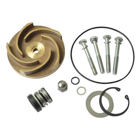 Pump Repair Kit, For 2ZWY2A MPN:21TG83