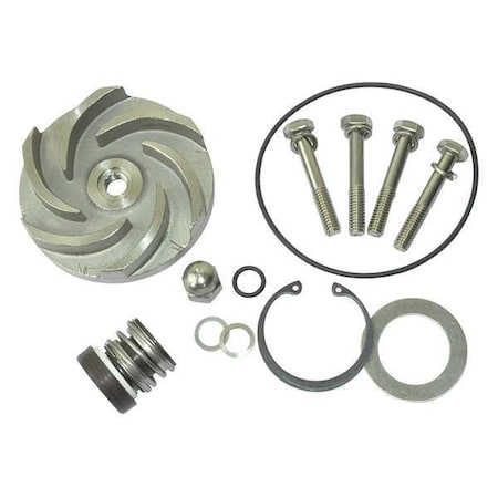 Pump Repair Kit, For 2ZWY8A MPN:21TG89