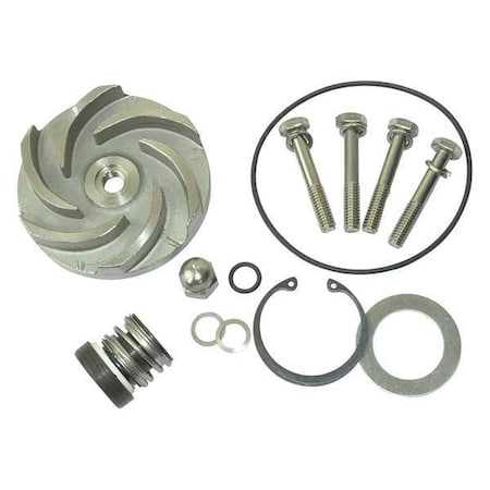 Pump Repair Kit, For 2ZWY9A MPN:21TG90