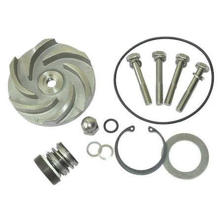 Pump Repair Kit, For 2ZWZ1A MPN:21TG91