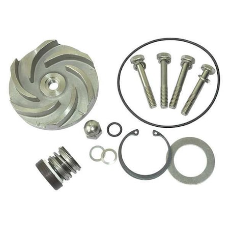 Pump Repair Kit, For 2ZWZ3A MPN:21TG93