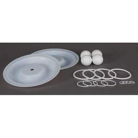 Pump Repair Kit, PTFE, Fluid, 1 In. MPN:22A612