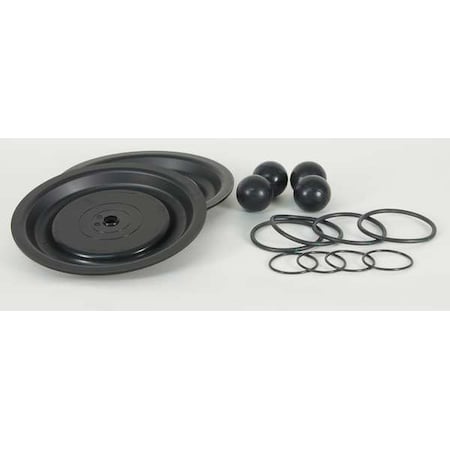 Pump Repair Kit, Fluid, 1 In., For 3HJW5 MPN:22A613