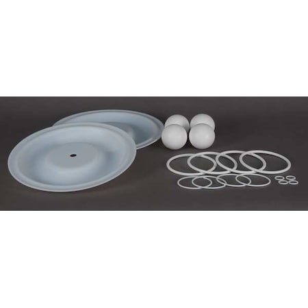 Pump Repair Kit, PTFE, Fluid, 1 In MPN:22A615