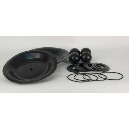 Pump Repair Kit, Buna N, Fluid, 1 In. MPN:22A619