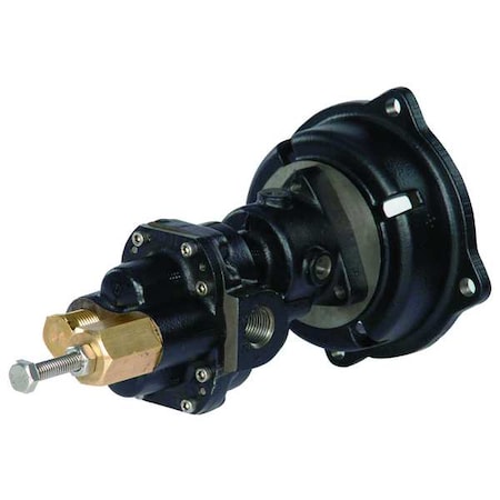 RotaryGearPmpHead, CI, 1/2