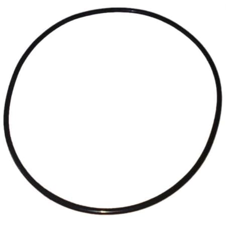 Ss Pump O-Ring MPN:PP21101530001G