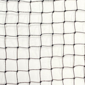 Bird Barrier® StealthNet® Bird Netting 50'L x 25'W Black N1-B1100